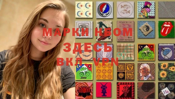 молекула духа Кулебаки
