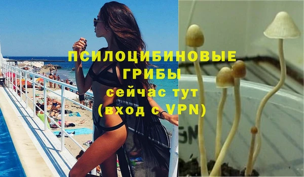 гашик Куйбышев