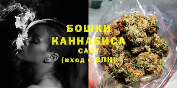 молекула духа Кулебаки