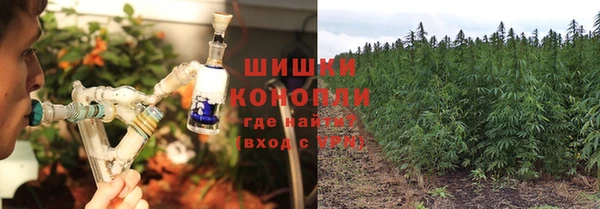гашик Куйбышев
