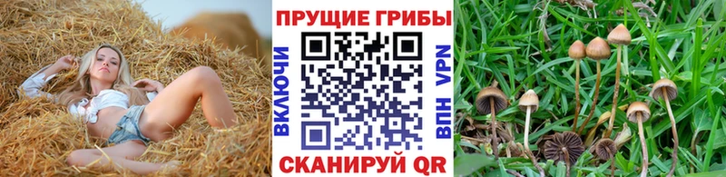 Псилоцибиновые грибы мухоморы  Купить где  Петровск-Забайкальский 